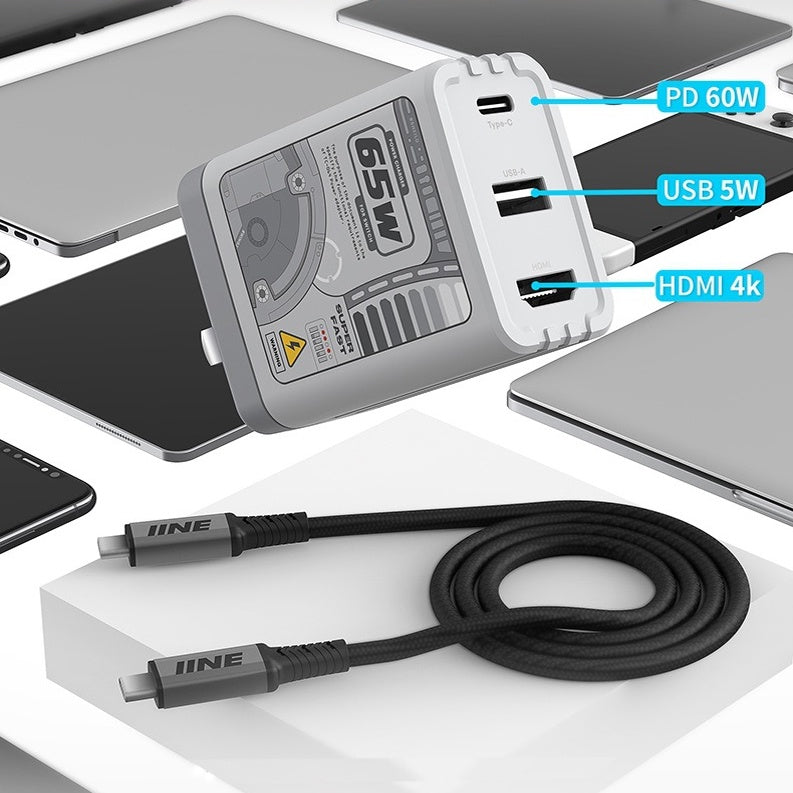 IINE Mini Dock Charger for Nintendo Switch OLED, Notebook, Mobile / ที่ชาร์จขนาดพกพา ขนาดไฟ 65 วัตต์